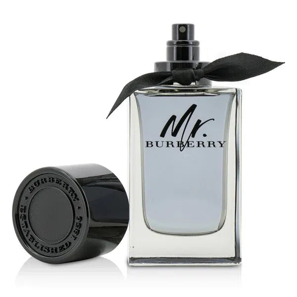 Burberry Mr. Burberry EDT 100ml